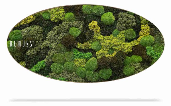 Machový obraz Elipsa BEMOSS® ORTHO TELDE - 50 x 100 cm