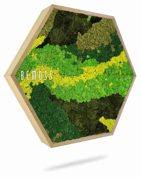 Machový Hexagon BEMOSS® ORTHO CARROT - Priemer 30 cm (v najširšom mieste šesťuholníka)
