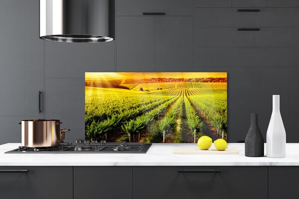 Sklenený obklad Do kuchyne Pole príroda 120x60 cm