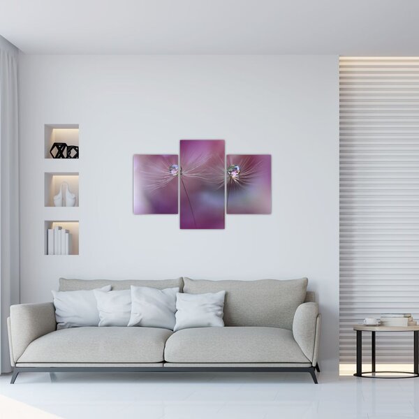 Obraz kvapôčok na páperí (90x60 cm)