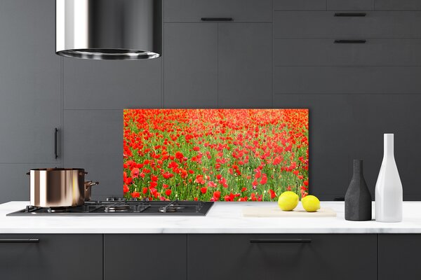 Sklenený obklad Do kuchyne Maky rastlina príroda 100x50 cm