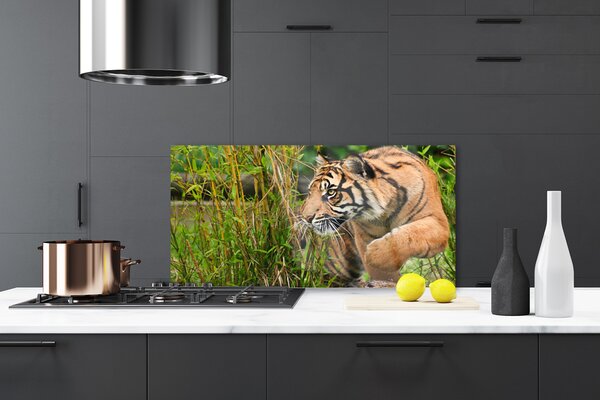 Sklenený obklad Do kuchyne Tiger zvieratá 120x60 cm