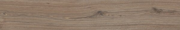 Sequoya Walnut 20x120 R