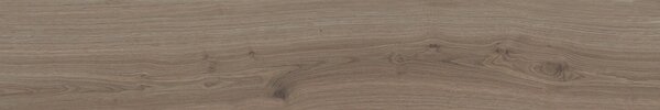 Sequoya Walnut 20x120 R