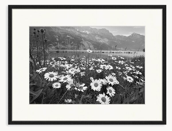 Nástenná dekorácia v ráme Alpine meadow