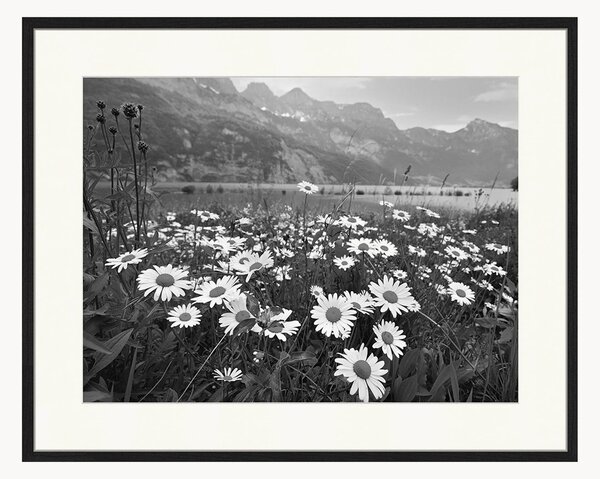 Nástenná dekorácia v ráme Alpine meadow