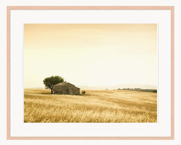 Nástenná dekorácia v ráme Provencal Farm