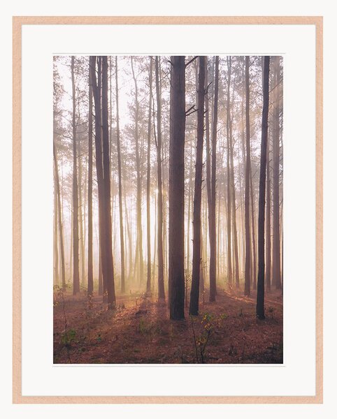 Nástenná dekorácia v ráme Into The Foggy Woods