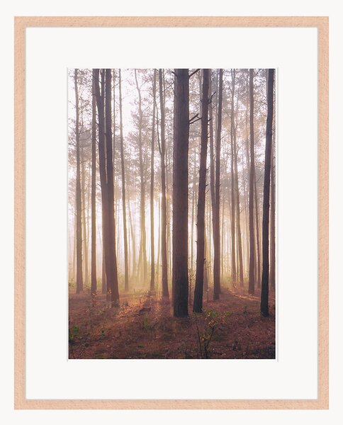 Nástenná dekorácia v ráme Into The Foggy Woods