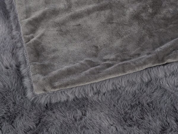 Dreamy Linens Mikroplyšová deka, tmavo sivá Dreamy Linens