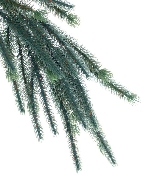 Veniec Pine Tree 18x15x200cm
