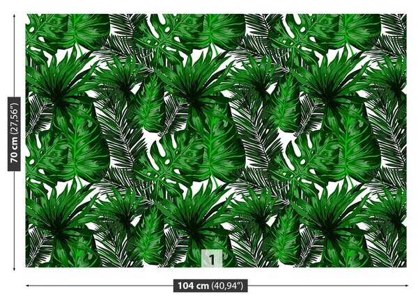 Fototapeta Vliesová Tropické listy 104x70 cm