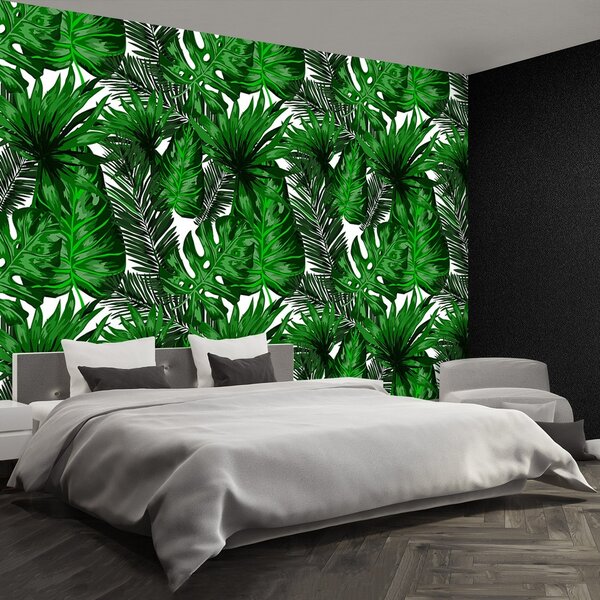 Fototapeta Vliesová Tropické listy 104x70 cm
