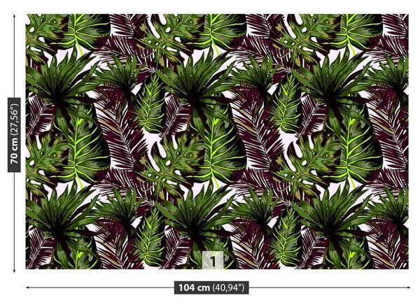 Fototapeta Vliesová Monster listy 104x70 cm