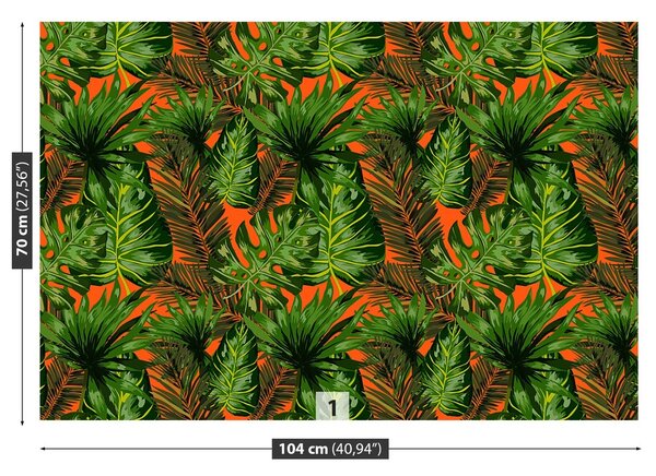 Fototapeta Vliesová Tropické listy 104x70 cm