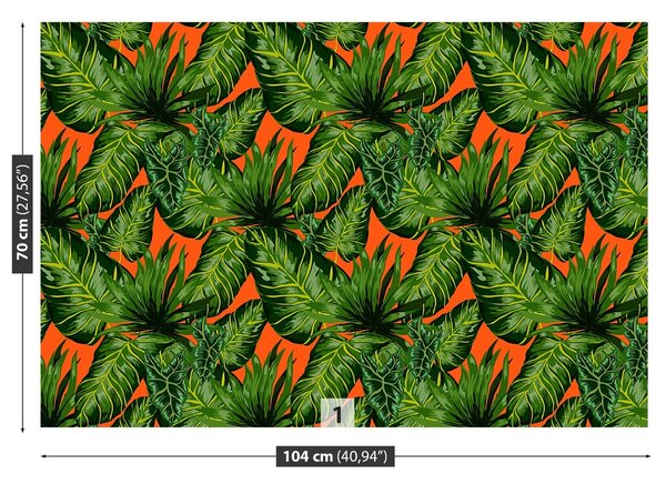 Fototapeta Vliesová Tropické listy 104x70 cm
