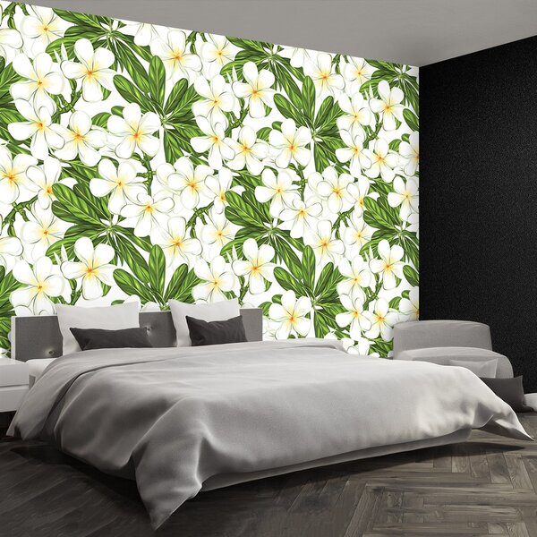 Fototapeta Vliesová Plumeria kvety 104x70 cm