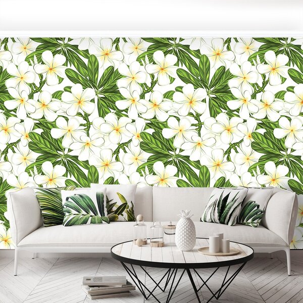 Fototapeta Vliesová Plumeria kvety 104x70 cm