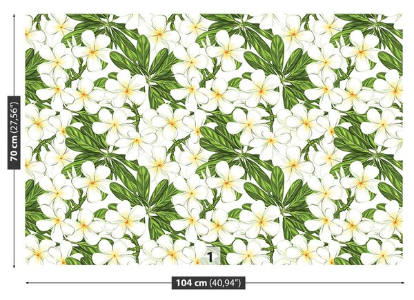 Fototapeta Vliesová Plumeria kvety 104x70 cm