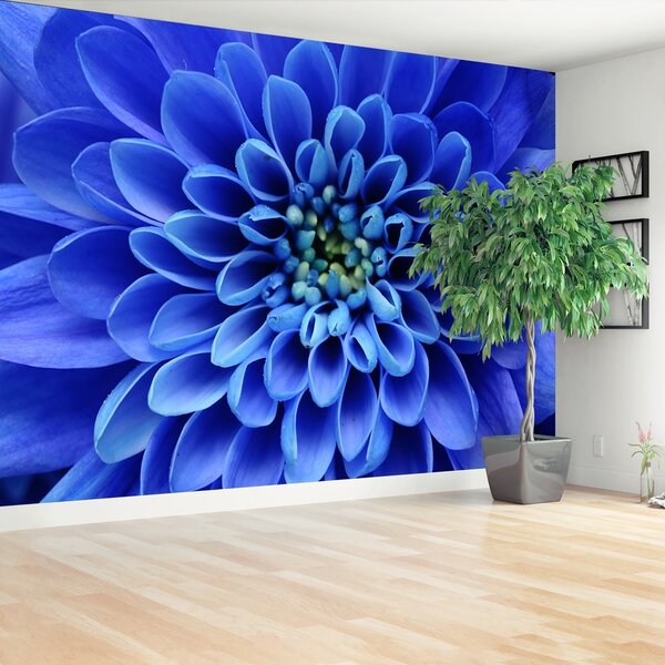 Fototapeta Vliesová Modrý kvet 312x219 cm