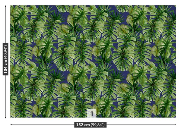 Fototapeta Vliesová Tropické monstera 152x104 cm