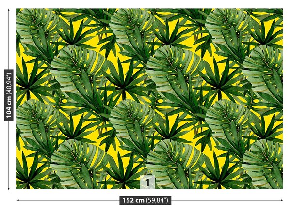 Fototapeta Vliesová Listy monstery 152x104 cm
