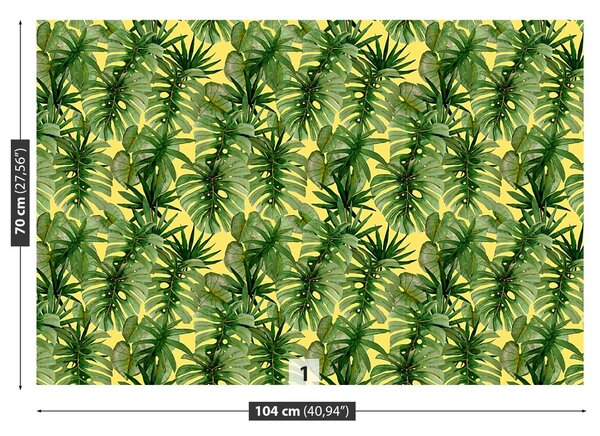 Fototapeta Vliesová Palma monstera 104x70 cm