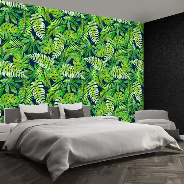 Fototapeta Vliesová Tropické listy 152x104 cm