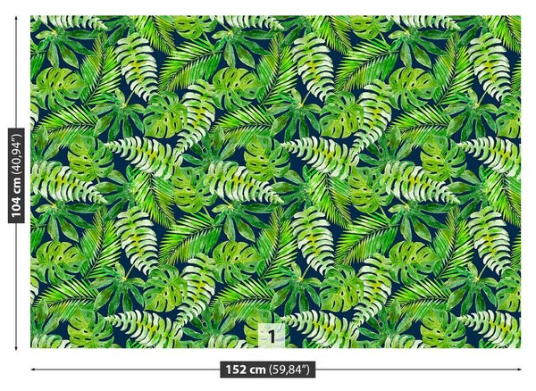 Fototapeta Vliesová Tropické listy 152x104 cm