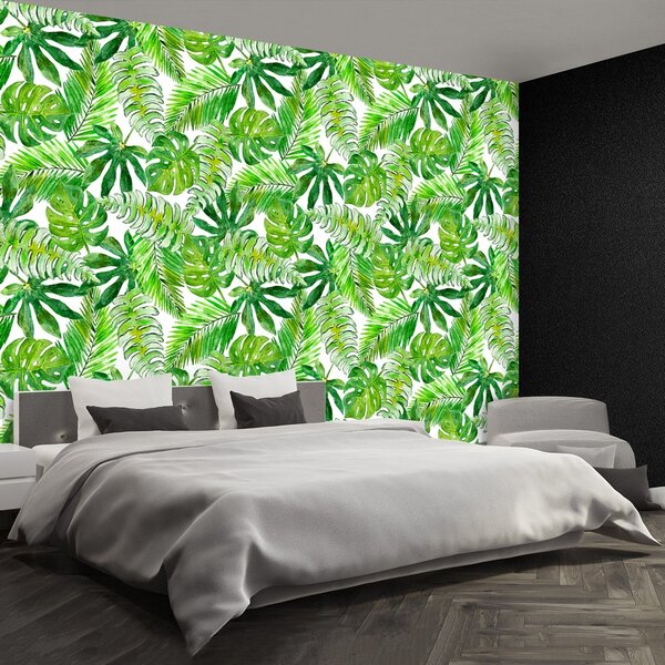 Fototapeta Vliesová Monstera palma 152x104 cm
