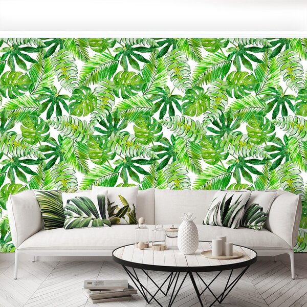Fototapeta Vliesová Monstera palma 152x104 cm