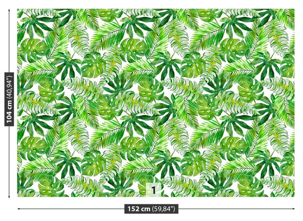Fototapeta Vliesová Monstera palma 152x104 cm