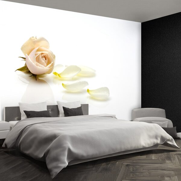 Fototapeta Vliesová Ružová ruža 152x104 cm
