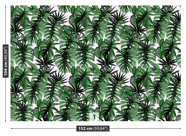 Fototapeta Vliesová Tropické listy 152x104 cm