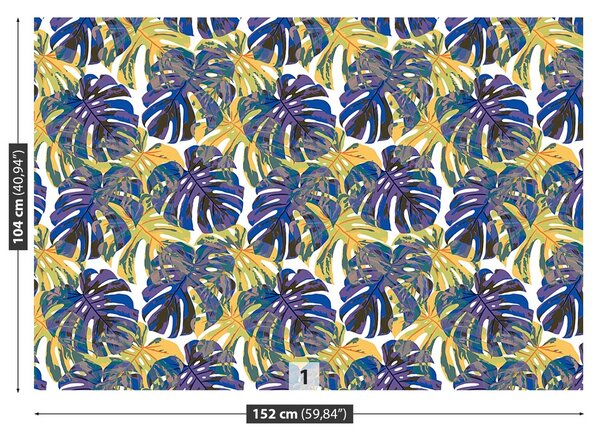 Fototapeta Vliesová Listy monstery 152x104 cm