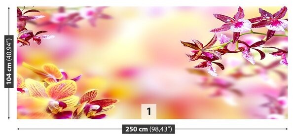 Fototapeta Vliesová Ružová orchidea 250x104 cm