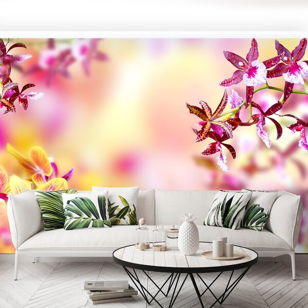 Fototapeta Vliesová Ružová orchidea 250x104 cm