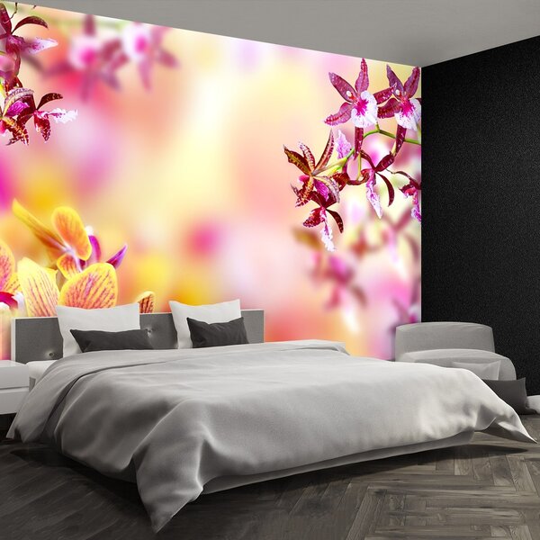 Fototapeta Vliesová Ružová orchidea 250x104 cm