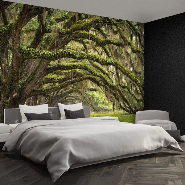 Fototapeta Vliesová Alej dubov 250x104 cm