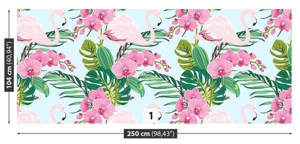 Fototapeta Vliesová Orchidea kvetina 250x104 cm