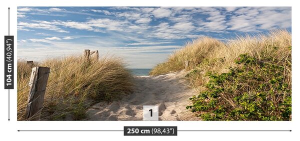 Fototapeta Vliesová Cesta cez duny 250x104 cm