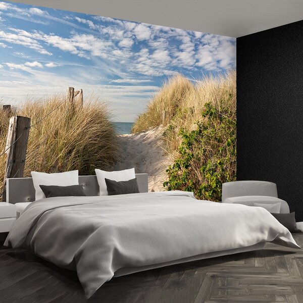 Fototapeta Vliesová Cesta cez duny 250x104 cm
