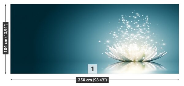 Fototapeta Vliesová Lotosový kvet 250x104 cm