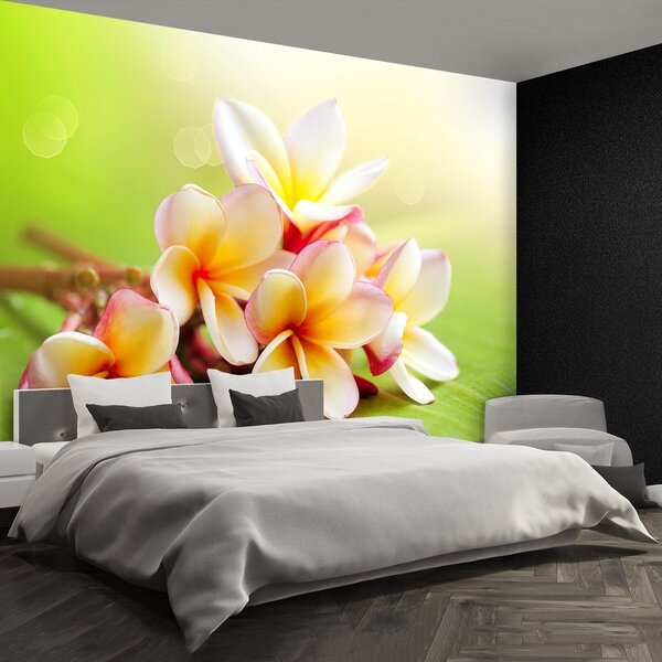Fototapeta Vliesová Kríky kvety 250x104 cm