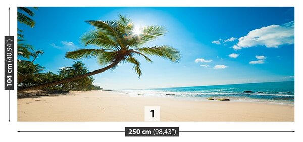 Fototapeta Vliesová Tropická pláž 250x104 cm