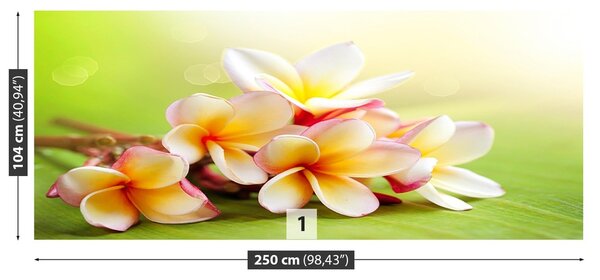 Fototapeta Vliesová Kríky kvety 250x104 cm