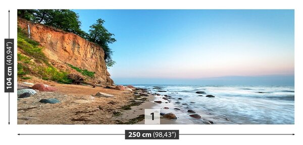 Fototapeta Vliesová Pobrežie baltského mora 250x104 cm