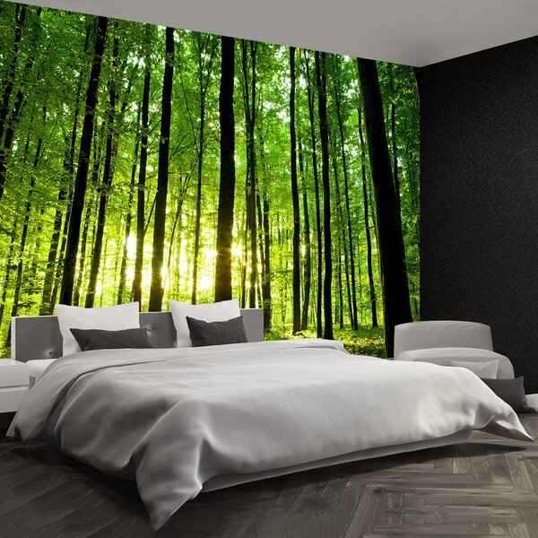 Fototapeta Vliesová Zelený les 250x104 cm