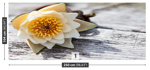Fototapeta Vliesová Lekno 250x104 cm