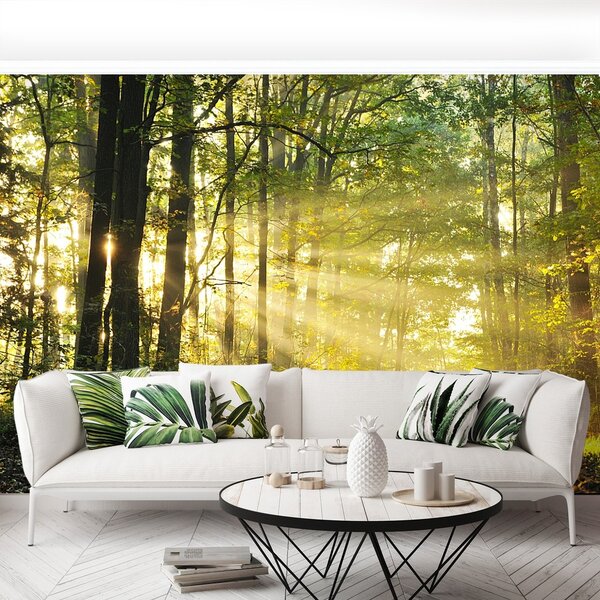 Fototapeta Vliesová Jesenné les 152x104 cm